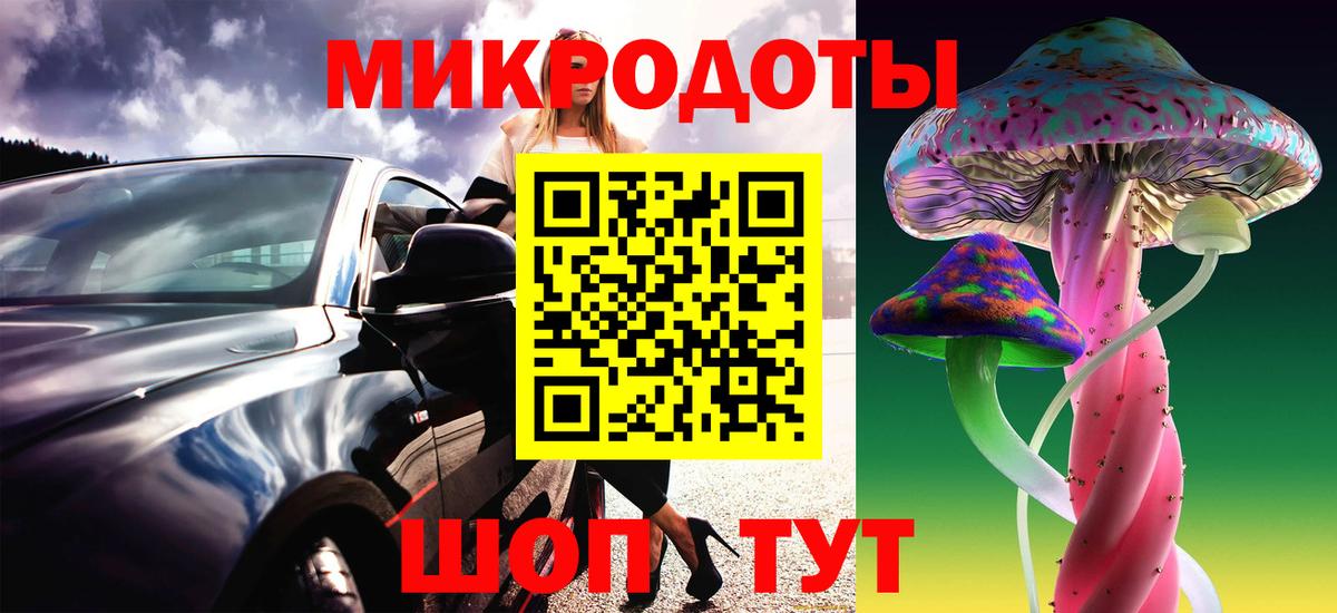 Галлюциногенные грибы Psilocybine cubensis Грозный